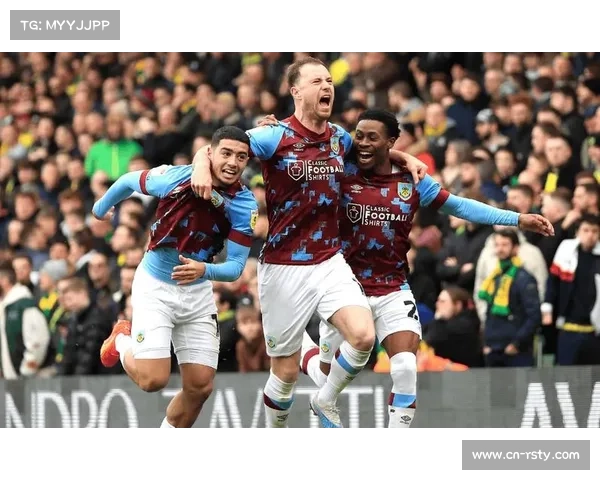 水晶宫2-3不敌伯恩利,保级关键战失利